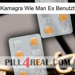 Kamagra How To Use 25